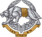 Special Operations Forces